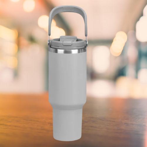 ALPHA - 900ml Travel Water Bottle / Tumbler with Flip Handle (Gray)